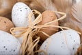 Easter eggs and feathers in basket