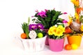 Easter eggs flower arrangements Royalty Free Stock Photo