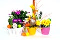 Easter eggs flower arrangements Royalty Free Stock Photo