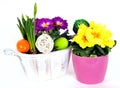 Easter eggs flower arrangements Royalty Free Stock Photo