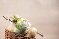 Easter eggs with flower decoration Royalty Free Stock Photo