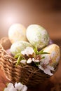 Easter eggs with flower decoration Royalty Free Stock Photo