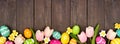 Easter eggs and flower decoration bottom border against a dark rustic wood banner background Royalty Free Stock Photo