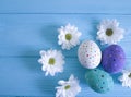 Easter eggs flowers rustic a blue wooden background place for text Royalty Free Stock Photo