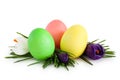 Easter eggs and flowers. Royalty Free Stock Photo