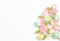 Easter eggs flowers decoration white background Royalty Free Stock Photo