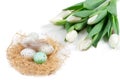 Easter eggs and flowers in a decorative nest of straw and a bouquet of white tulips on wite Royalty Free Stock Photo