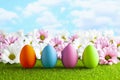 Easter eggs and flowers on the grass and blue sky background Royalty Free Stock Photo