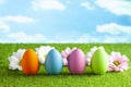 Easter eggs and flowers on the grass and blue sky background Royalty Free Stock Photo