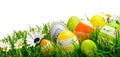 Easter eggs and flowers in grass, isolated Royalty Free Stock Photo