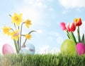 Easter eggs and flowers in green grass under blue sky, space for text Royalty Free Stock Photo