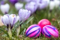 Easter eggs and flowers