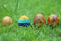 Easter eggs. Four colorful Easter eggs on green grass background in paste colors. Copy space for your text or design