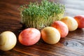 Easter eggs with fresh cress Royalty Free Stock Photo