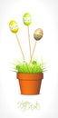 Easter eggs and fresh grass in the flowerpot