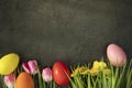 Easter eggs on fresh green grass against grey concrete background, colorful pink tulips and yellow daisies. Happy Easter Royalty Free Stock Photo