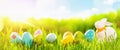 Easter Eggs With Fresh Green Grass and Sun Royalty Free Stock Photo