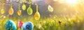 Easter eggs with fresh green grass and sun Royalty Free Stock Photo