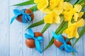 Easter eggs and fresh spring daffodils on weathered wooden background Royalty Free Stock Photo