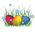 Easter eggs in the grass