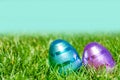 Easter eggs on the grass background Royalty Free Stock Photo