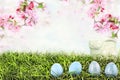 Easter Eggs in Grass Royalty Free Stock Photo