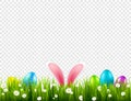 Easter eggs on grass with bunny rabbit ears set. Spring holidays in April. Sunday seasonal celebration with egg hunt. Royalty Free Stock Photo