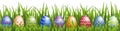 Easter eggs with grass