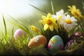 easter eggs in grass Royalty Free Stock Photo