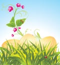 Easter eggs in the grass with flowers Royalty Free Stock Photo