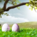 Easter eggs in the grass in front of a spring scene Royalty Free Stock Photo