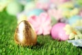 Easter eggs on grass with golden egg Royalty Free Stock Photo