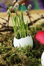 Easter eggs on the grass