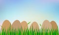 Easter eggs on grass