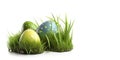Easter eggs in the grass, isolated on a white background. Royalty Free Stock Photo