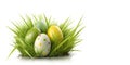 Easter eggs in the grass, isolated on a white background. Royalty Free Stock Photo