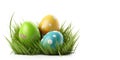 Easter eggs in the grass, isolated on a white background. Royalty Free Stock Photo