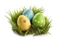 Easter eggs on the grass, isolated on a white background. Royalty Free Stock Photo