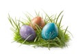 Easter eggs on the grass, isolated on a white background. Royalty Free Stock Photo