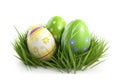 Easter eggs on the grass, isolated on a white background. Royalty Free Stock Photo