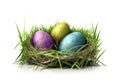 Easter eggs on the grass, isolated on a white background. Royalty Free Stock Photo