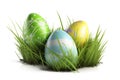 Easter eggs on the grass, isolated on a white background. Royalty Free Stock Photo