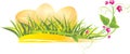 Easter eggs in the grass with spring flowers Royalty Free Stock Photo