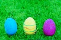 Easter eggs on the grass