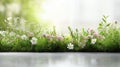 Easter eggs, grass and wild flowers border on white Royalty Free Stock Photo