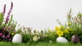 Easter eggs, grass and wild flowers border on white Royalty Free Stock Photo