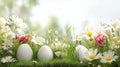 Easter eggs, grass and wild flowers border on white Royalty Free Stock Photo