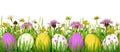 Easter eggs, grass and wild flowers border Royalty Free Stock Photo