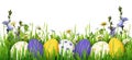 Easter eggs, grass and wild flowers border