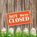 Easter Eggs Grass Worn Wood Closed